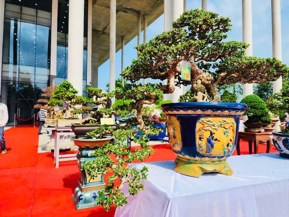 trien-lam-cay-canh-bonsai-doc-dao-voi-hon-1-000-tac-pham-o-quang-ngai-9.jpg