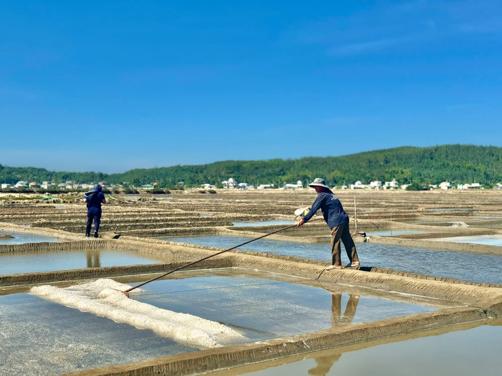 200-nam-nghe-lam-muoi-sa-huynh-o-quang-ngai- (11).jpg