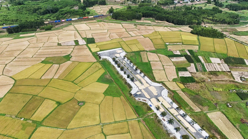 dau-tu-34-ti-dong-lam-duong-cut-dan-ra-giua-ruong- (12).jpg