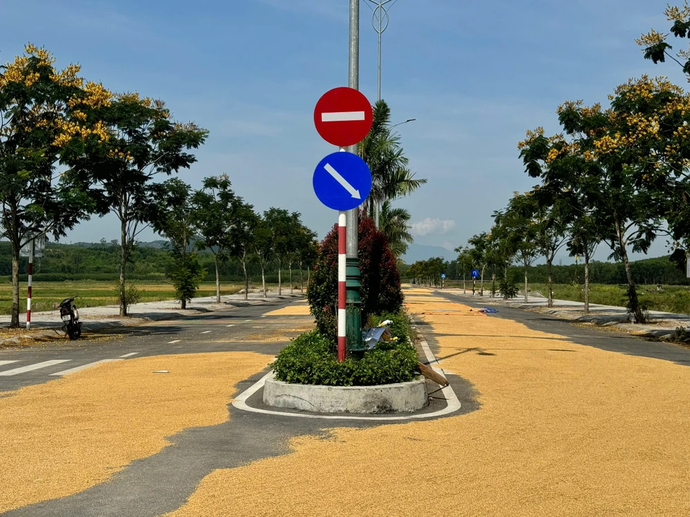 dau-tu-34-ti-dong-lam-duong-cut-dan-ra-giua-ruong- (3).jpg