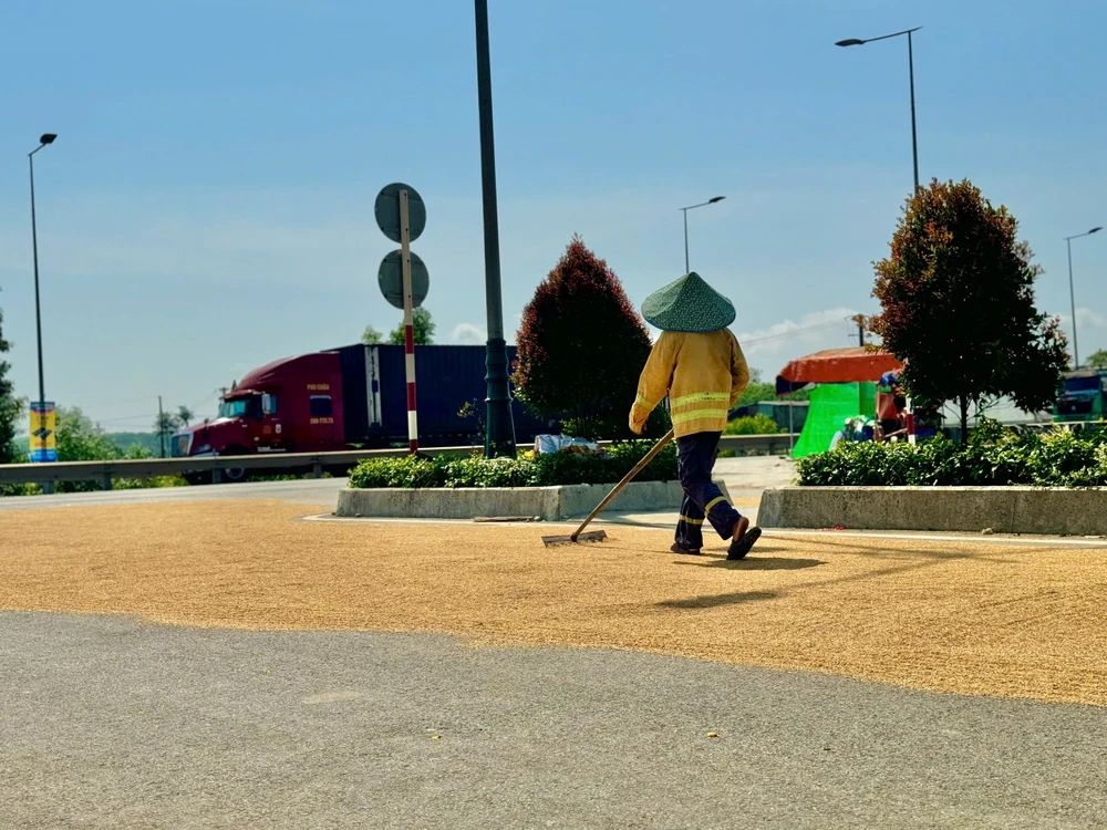 dau-tu-34-ti-dong-lam-duong-cut-dan-ra-giua-ruong- (8).jpg