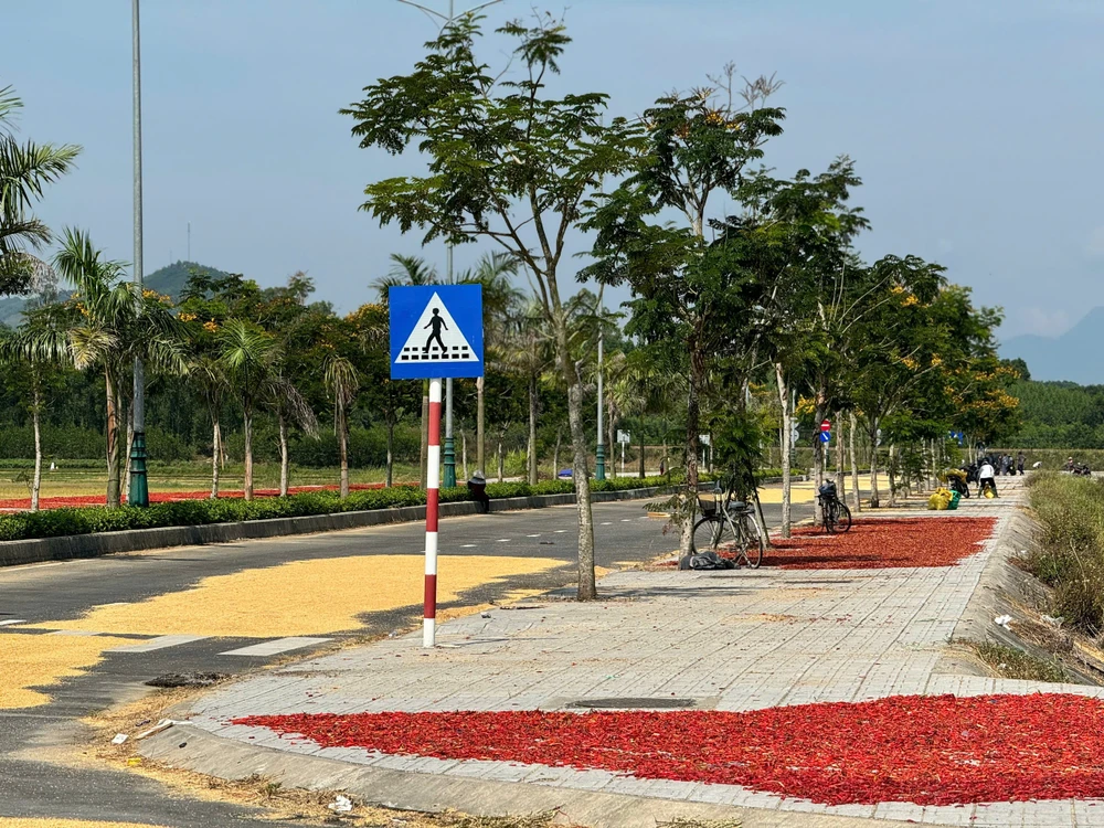 dau-tu-34-ti-dong-lam-duong-cut-dan-ra-giua-ruong- (9).jpg