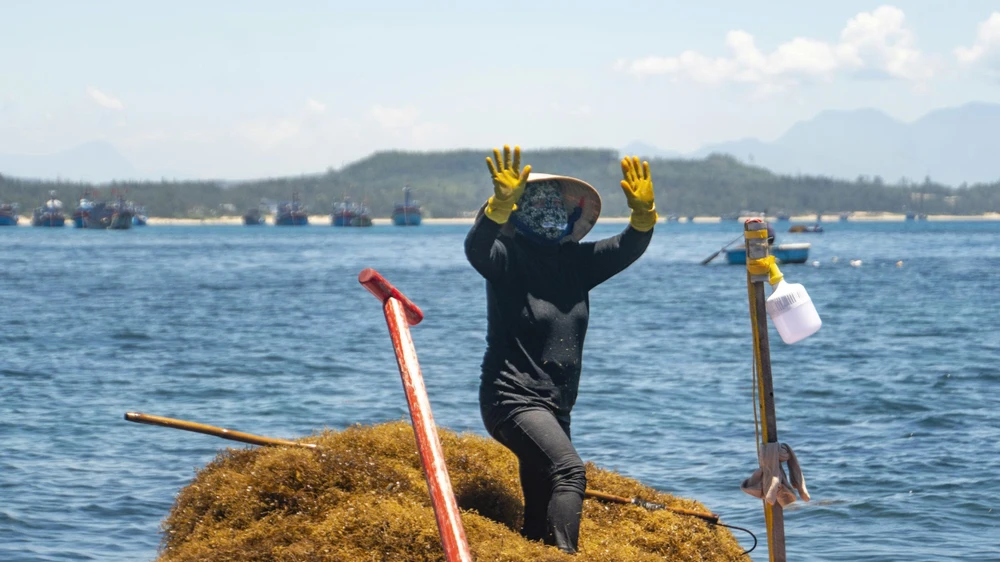 nguoc-song-vot-rong-mo-nghe-muu-sinh-doc-dao-cua-ngu-dan-quang-ngai- (16).jpg