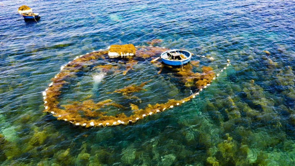 nguoc-song-vot-rong-mo-nghe-muu-sinh-doc-dao-cua-ngu-dan-quang-ngai- (8).jpg