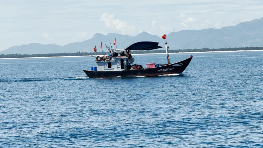 Theo ngư dân Quảng Ngãi vây cá ngừ giữa biển