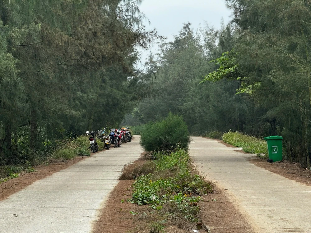 Khởi tố thêm 2 giám đốc trong vụ 'rút ruột’ đường ven biển ở Quảng Ngãi