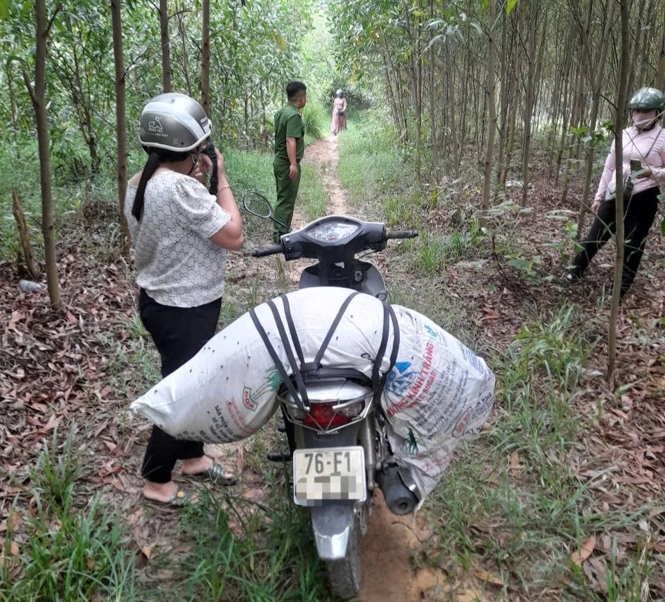 quang-ngai-mot-phu-nu-bi-xu-phat-5-trieu-dong-vi-vut-heo-chet-ra-ray-keo-2.jpg