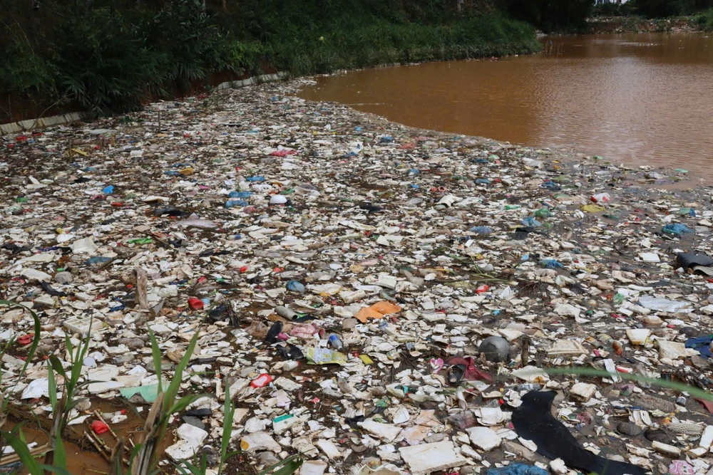 Quảng Ngãi: Hàng tấn cá chết nghi do ảnh hưởng từ vụ vỡ ô chứa rác