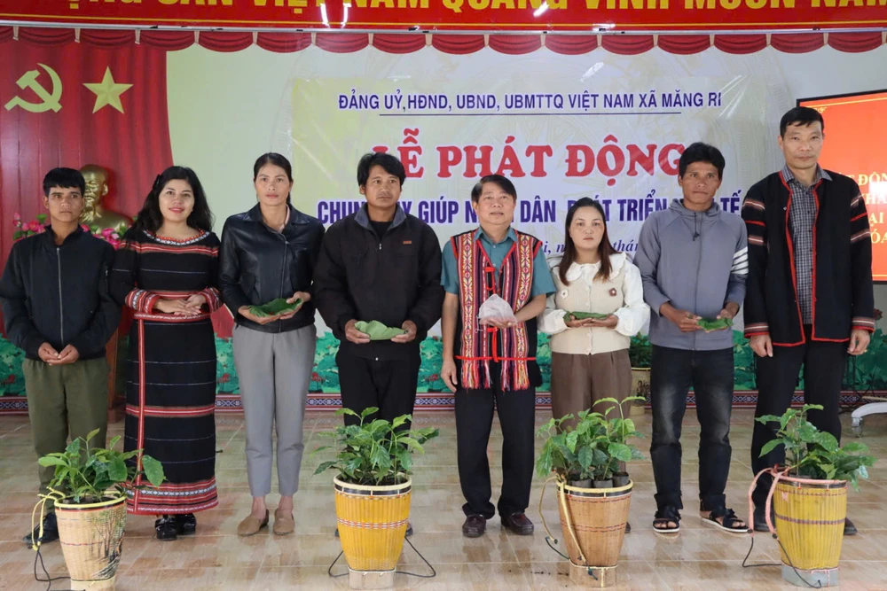 Hơn 1,8 tỷ đồng giúp dân Măng Ri khôi phục vườn sâm Ngọc Linh và cà phê bị tàn phá do bão