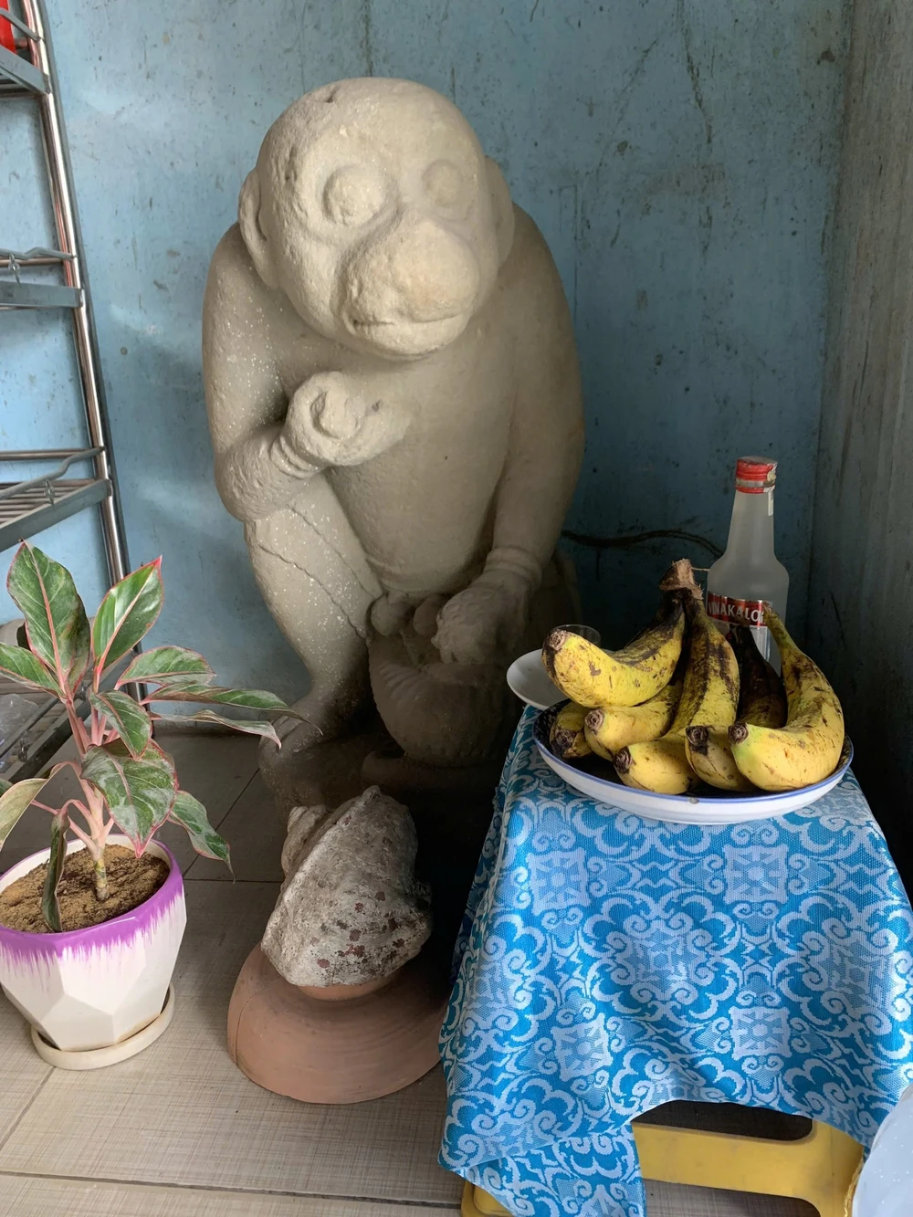 Vớt được tượng thần khỉ Champa niên đại 800 tuổi khi đi lặn biển