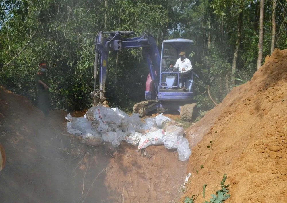 Quảng Ngãi: Dịch tả lợn đang hoành hành, xuất hiện thêm cúm A H5N1