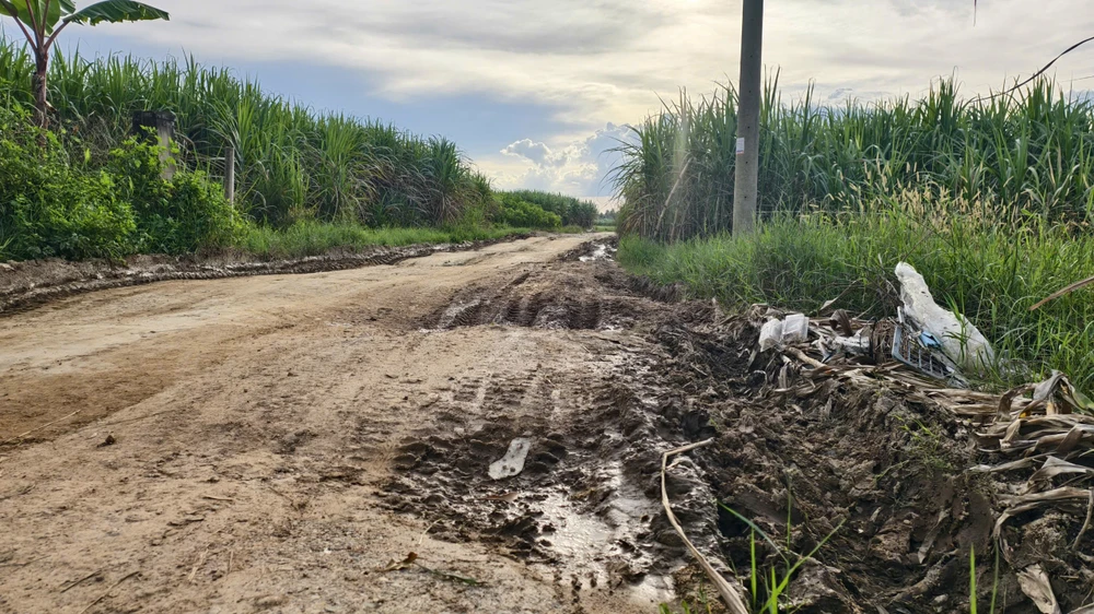 cau-121-ti-dong-xay-xong-3-nam-nam-cho-duong-dan (4).jpg