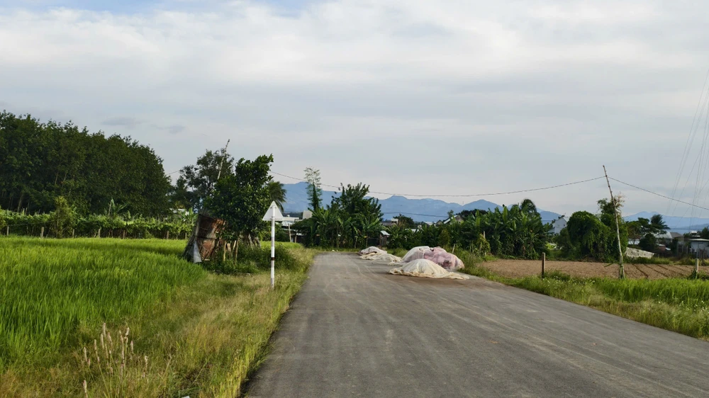 cau-121-ti-dong-xay-xong-3-nam-nam-cho-duong-dan (5).jpg