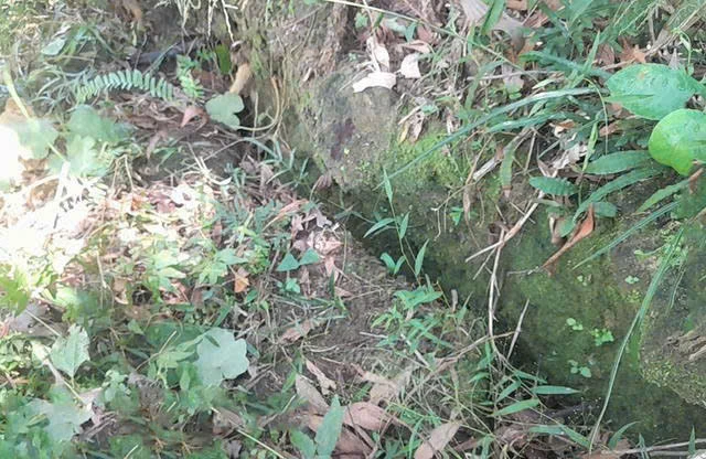 nui-go-oat-nut-toac-de-doa-61-ho-dan-duoi-chan-nui (1).jpg