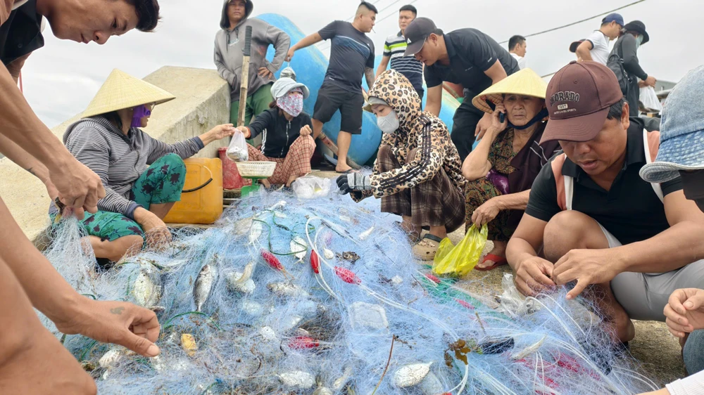 Xem cảnh ngư dân Quảng Ngãi ‘cưỡi sóng’, ra khơi mùa biển động