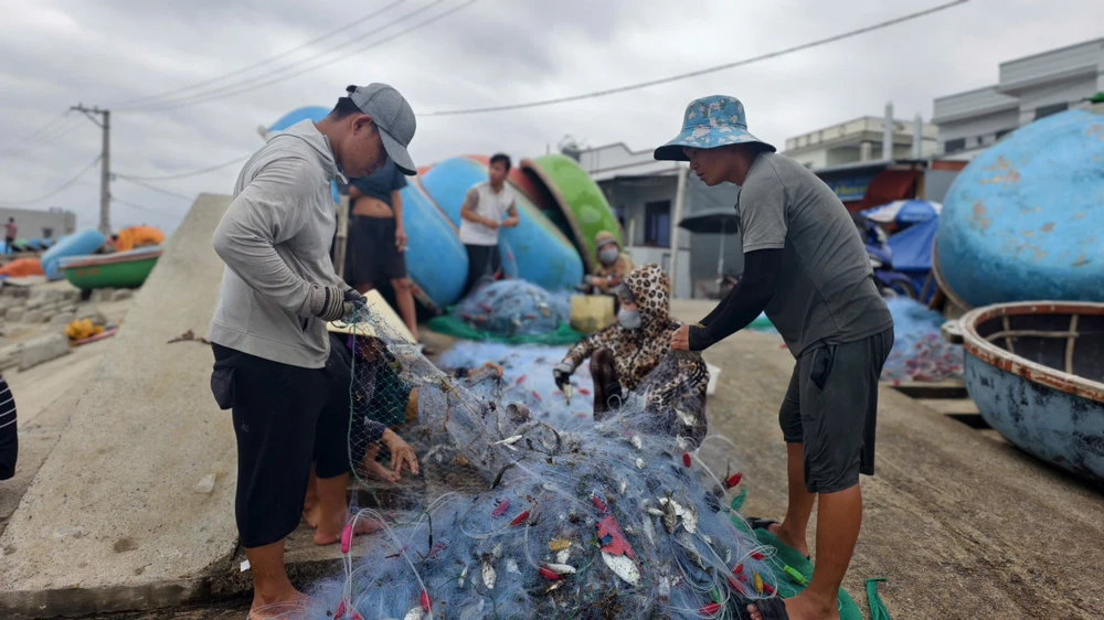Xem cảnh ngư dân Quảng Ngãi ‘cưỡi sóng’, ra khơi mùa biển động