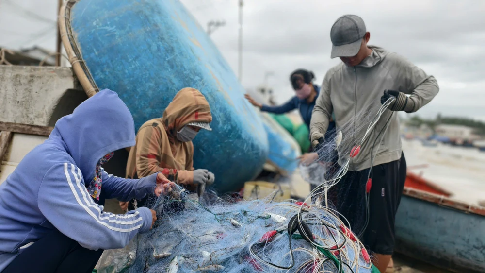 Xem cảnh ngư dân Quảng Ngãi ‘cưỡi sóng’, ra khơi mùa biển động