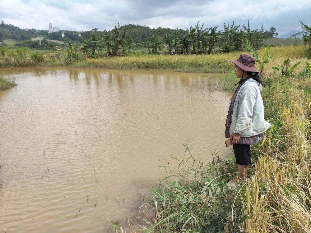 7-nam-mat-ruong-canh-tac-vi-thuy-dien-tich-nuoc-14-ho-duoc-de-xuat-den-bu-hon-37-trieu (2).jpg