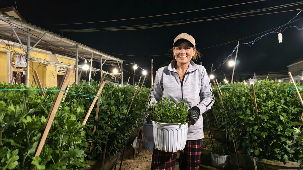 trieu-anh-den-lung-linh-lang-hoa-cuc-tet- (7).jpg