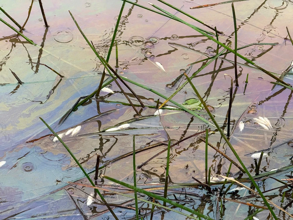 chum-anh-khan-truong-khac-phuc-su-co-tran-dau-tai-quang-ngai (18).jpg