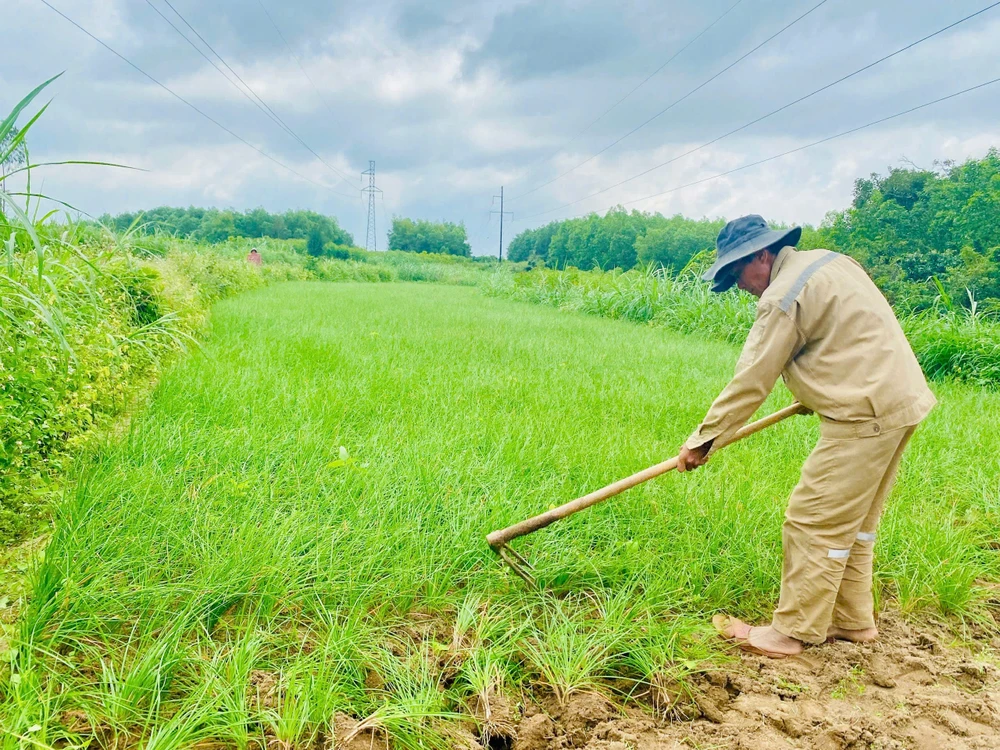 kieu-xu-quang-vao-mua-nong-dan-bo-tui-tien-chuc-trieu- (41).jpg