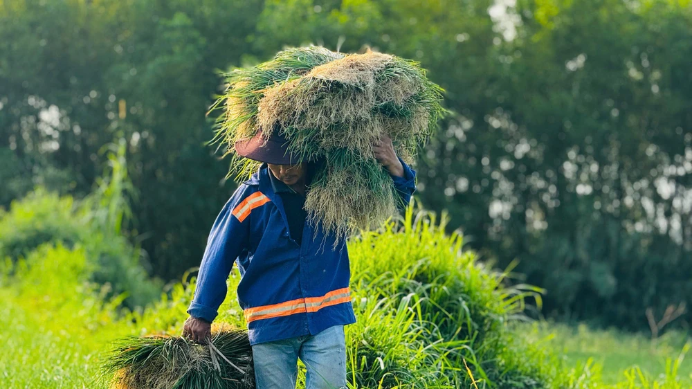 kieu-xu-quang-vao-mua-nong-dan-bo-tui-tien-chuc-trieu- (45).jpg