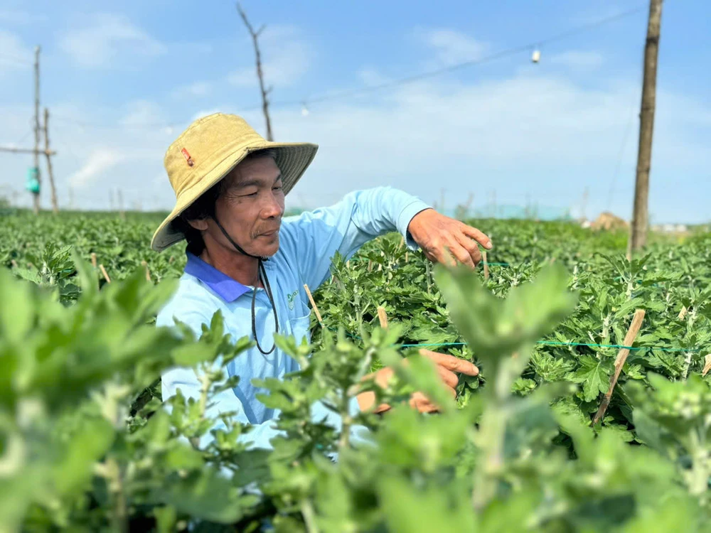 cuc-do-la-mat-gia-gap-3-cuc-thuong-van-chay-hang-o-quang-ngai- (11).jpg