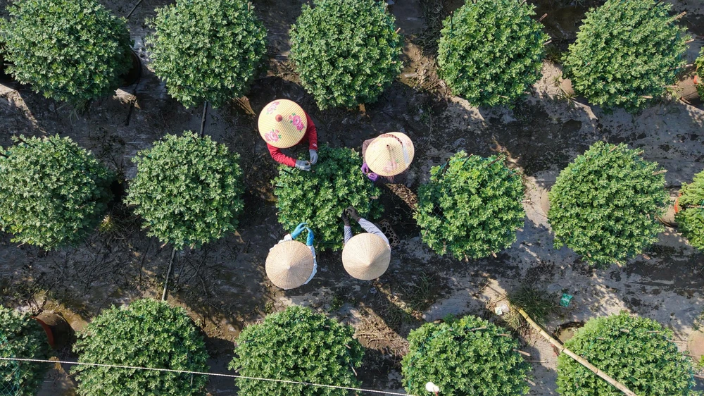 cuc-do-la-mat-gia-gap-3-cuc-thuong-van-chay-hang-o-quang-ngai- (16).jpg