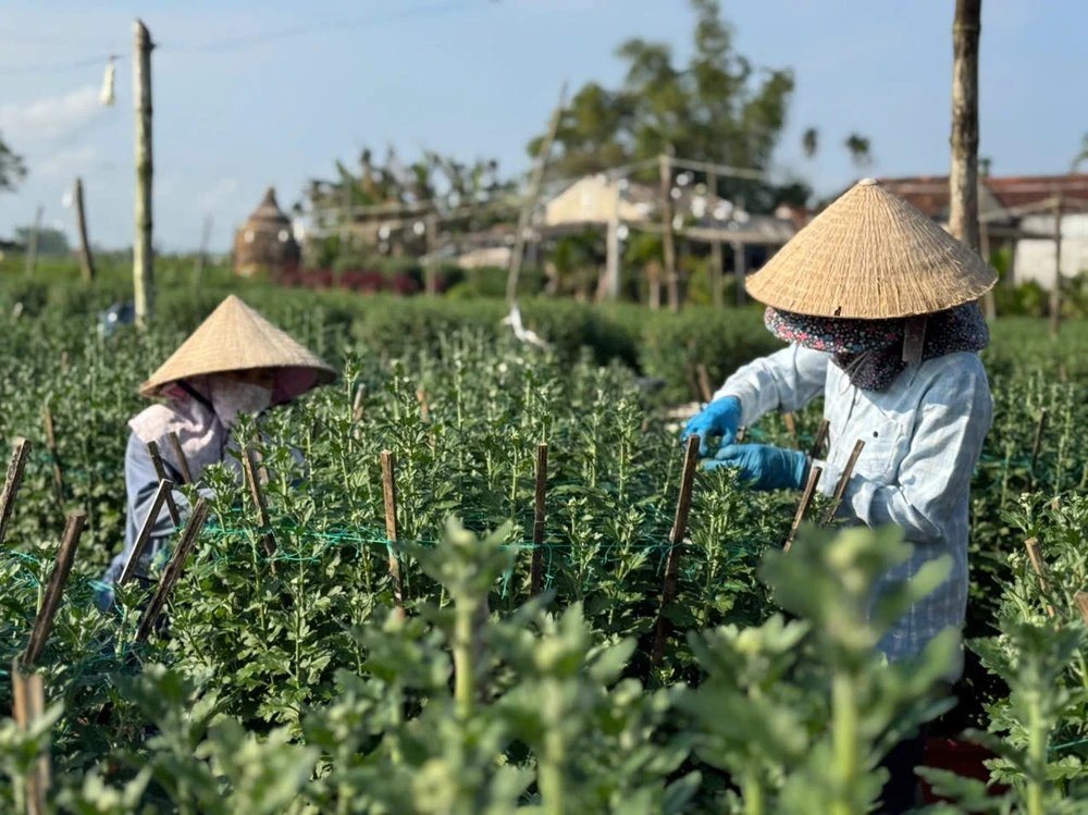 cuc-do-la-mat-gia-gap-3-cuc-thuong-van-chay-hang-o-quang-ngai- (8).jpg