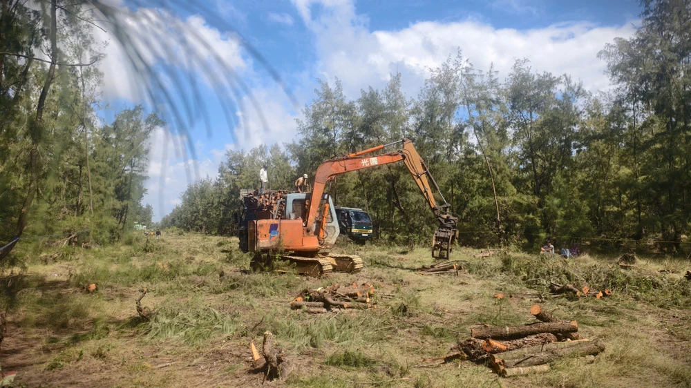 quang-ngai-don-ha-rung-phi-lao-chuc-nam-tuoi-de-mo-duong-ven-bien- (3).jpg