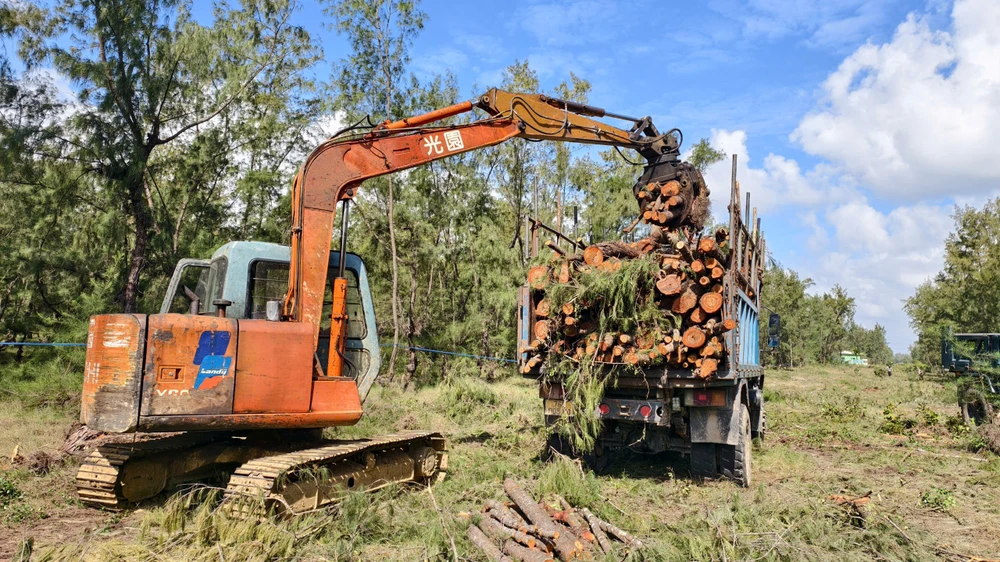 quang-ngai-don-ha-rung-phi-lao-chuc-nam-tuoi-de-mo-duong-ven-bien- (8).jpg