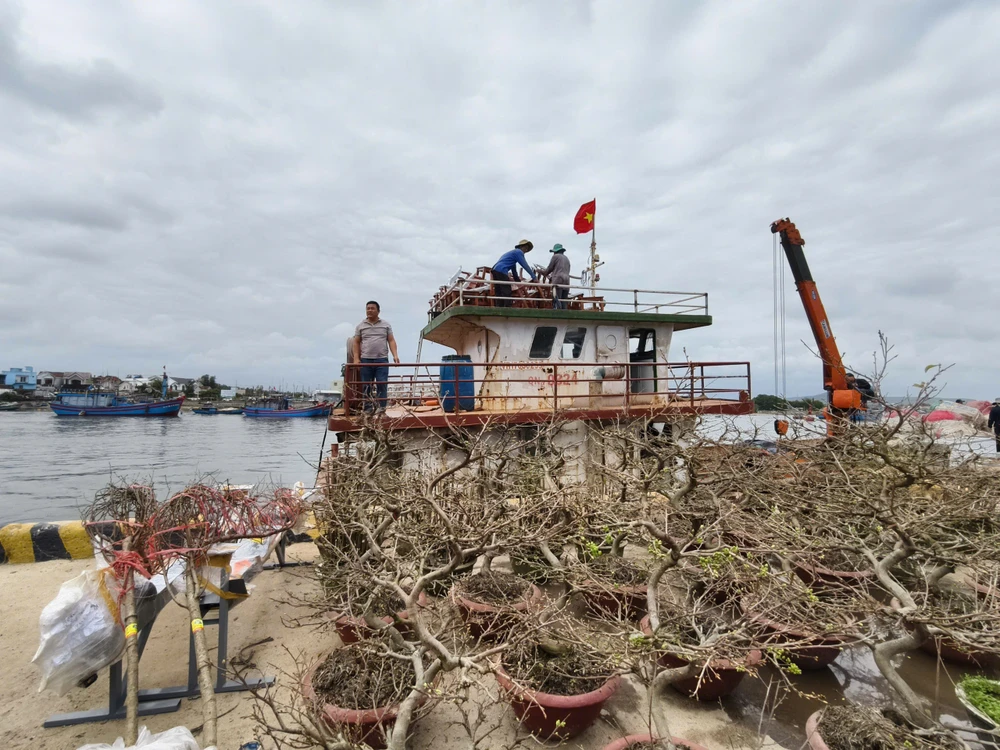 Tấp nập chở hàng, hoa Tết từ đất liền ra đảo Lý Sơn