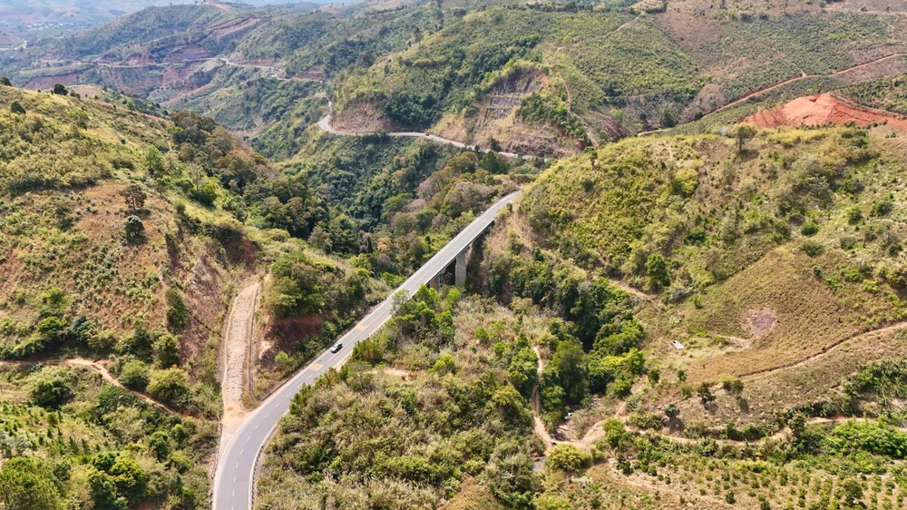 khoanh-khac-ruc-ro-rung-tu-nhien-mang-den-vao-mua-thay-la- (1).jpg