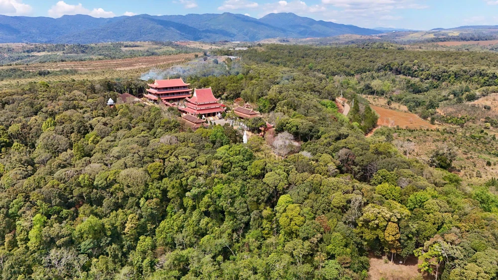 khoanh-khac-ruc-ro-rung-tu-nhien-mang-den-vao-mua-thay-la- (16).jpg