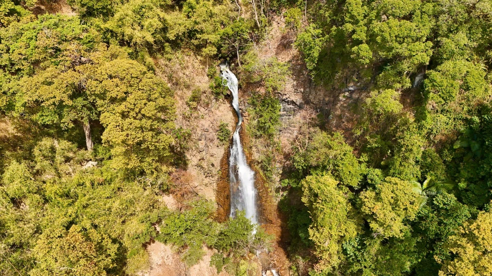 khoanh-khac-ruc-ro-rung-tu-nhien-mang-den-vao-mua-thay-la- (22).jpg