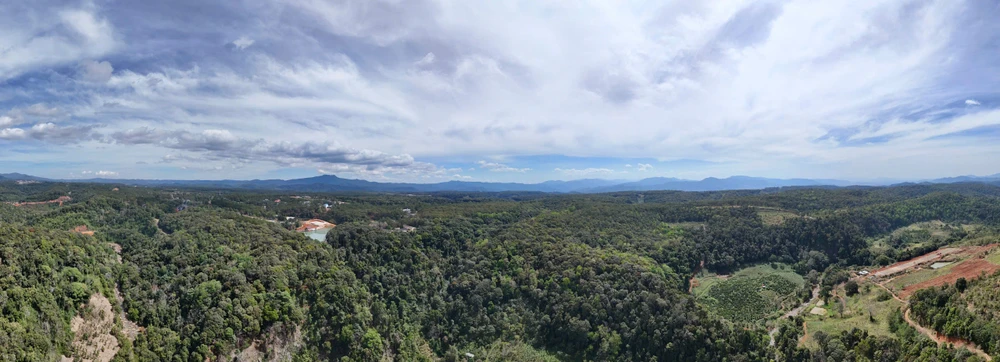 khoanh-khac-ruc-ro-rung-tu-nhien-mang-den-vao-mua-thay-la- (3).jpg