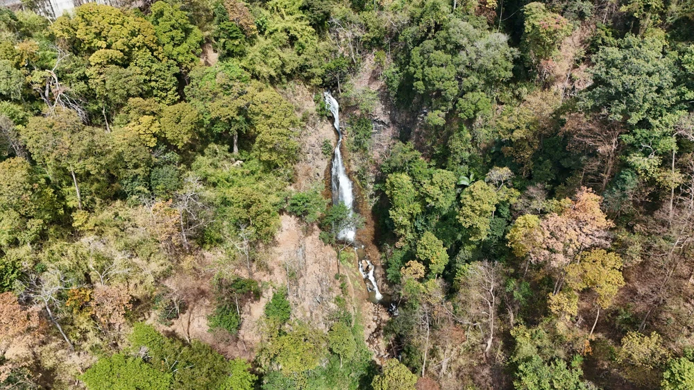 khoanh-khac-ruc-ro-rung-tu-nhien-mang-den-vao-mua-thay-la- (6).jpg