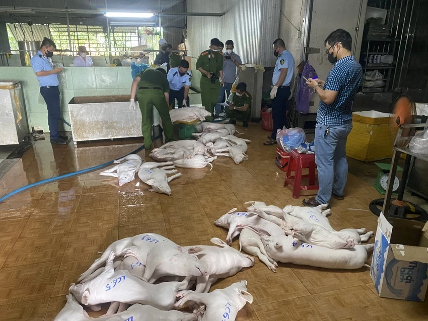 Một cơ sở giết mổ lợn vi phạm trên địa bàn tỉnh Quảng Ngãi.