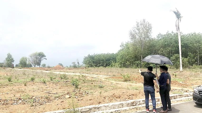 Tùy trường hợp mà cha mẹ khi muốn bán đất phải hỏi ý kiến các con. Ảnh: QUANG HUY