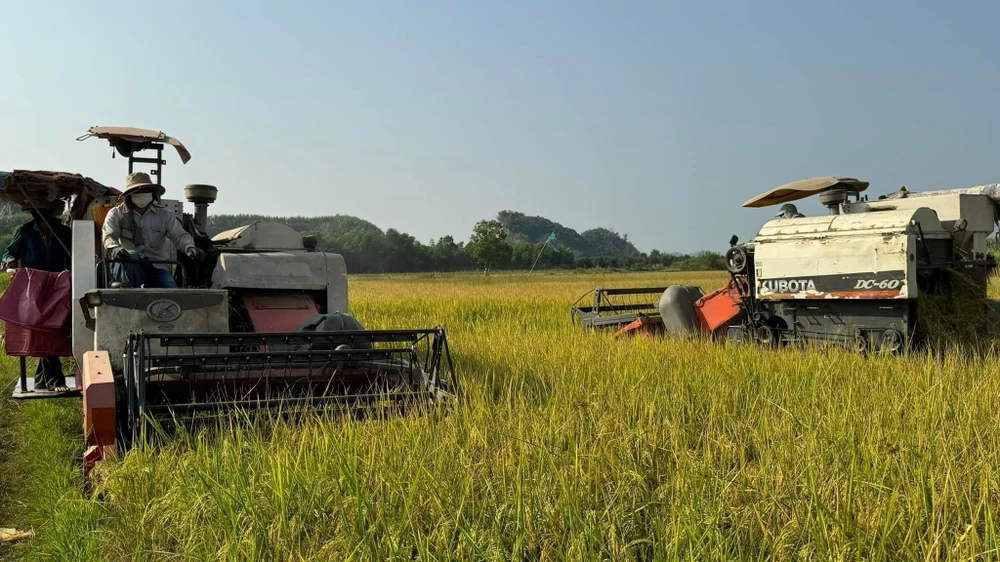 đất nông nghiệp