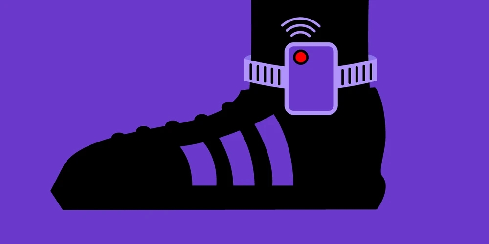 giám sát điện tử