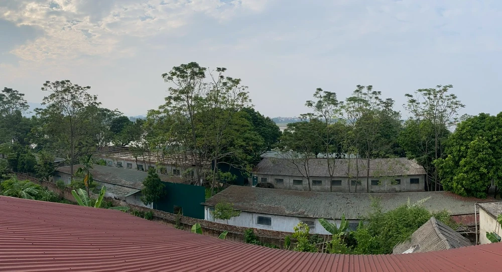 Một trang trại heo gây hôi thối