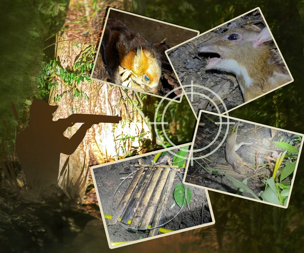 Bảo vệ thú rừng