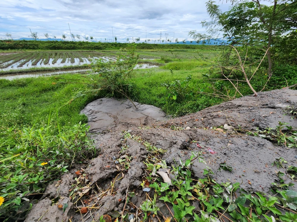 bun dat da nang ruong lua.jpg