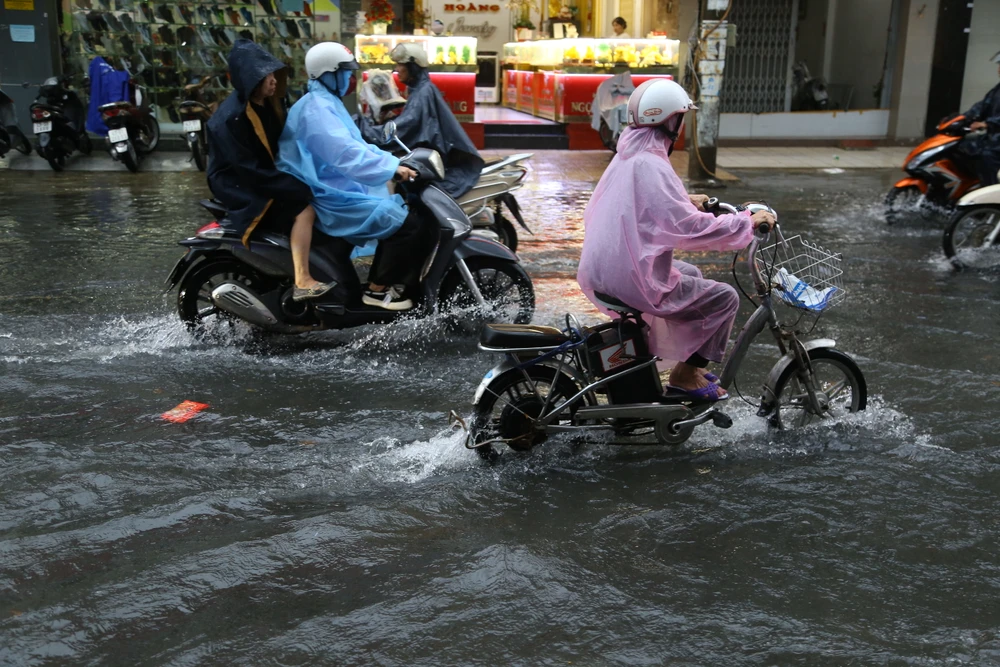 xe dap dien da nang.JPG