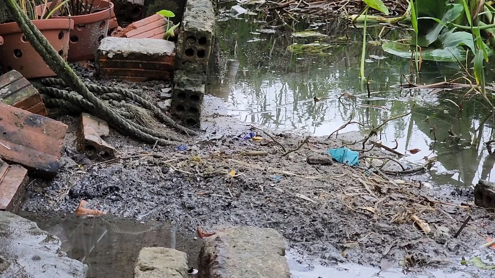 da-nang-tam-bo-trung -i-tay-bac.jpg