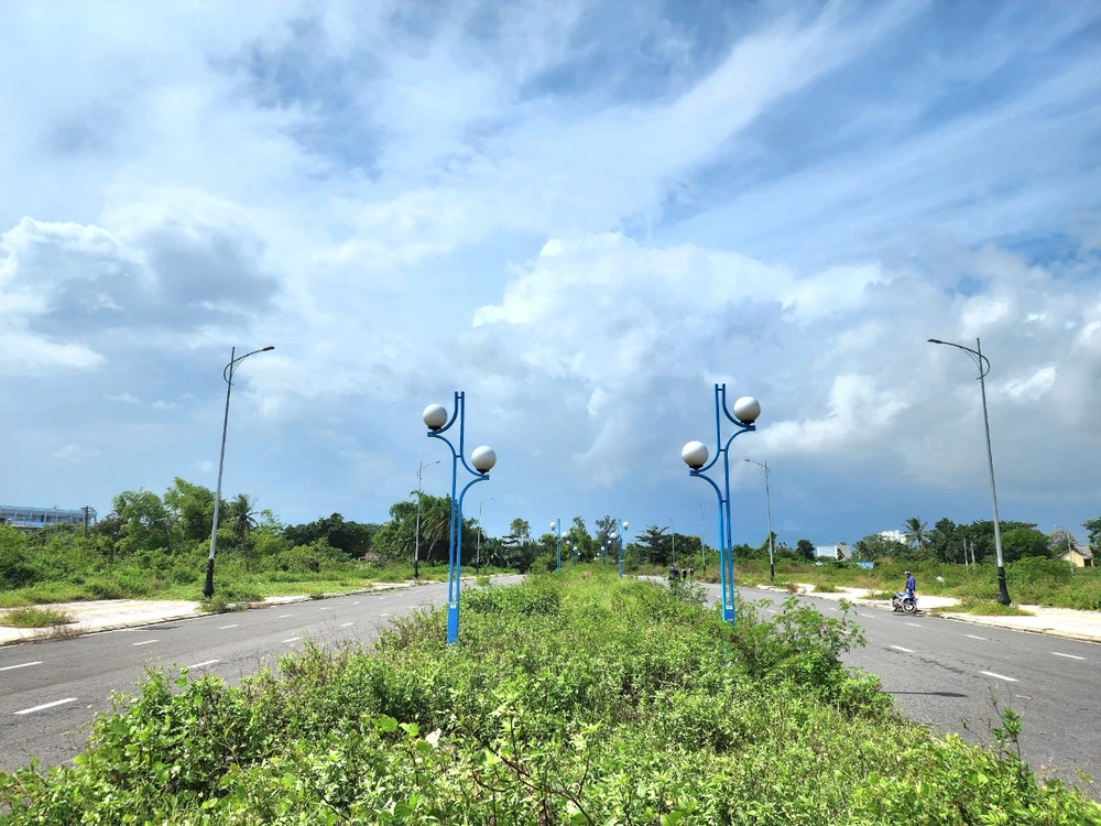 tay bac hoang thi loan.jpg