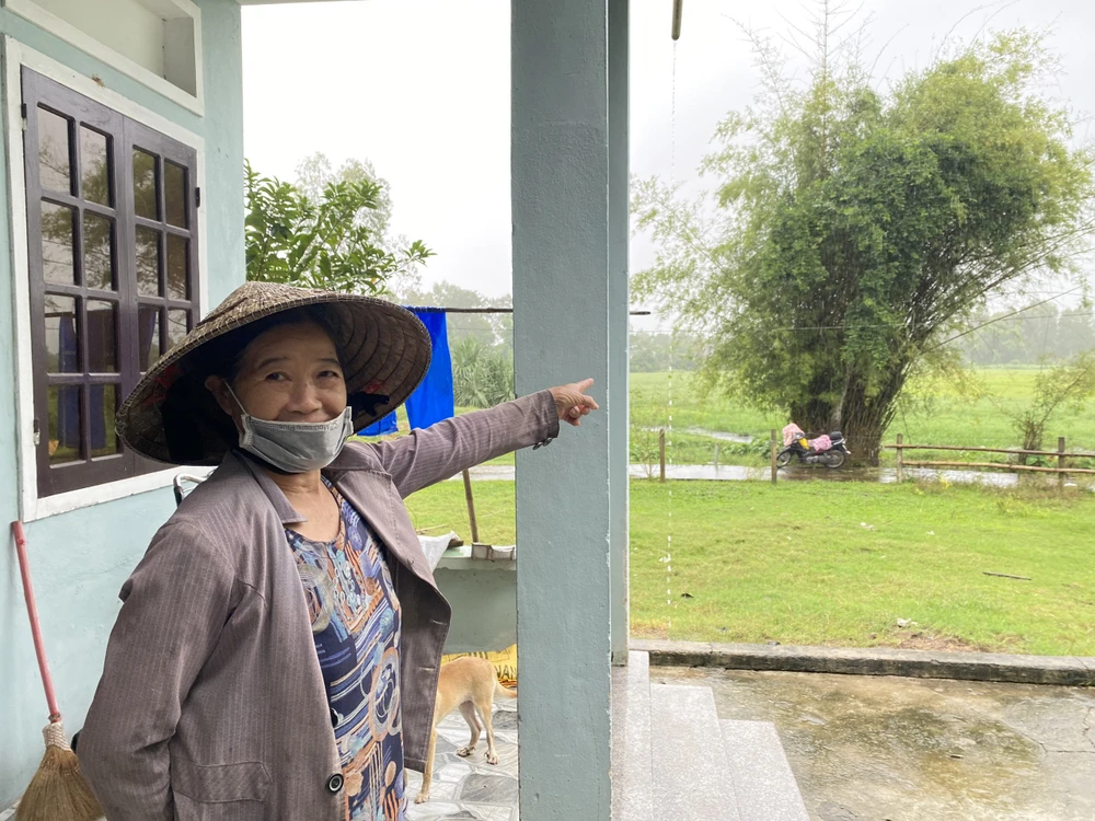 nước thải từ trại heo đổ ra ruộng lúa