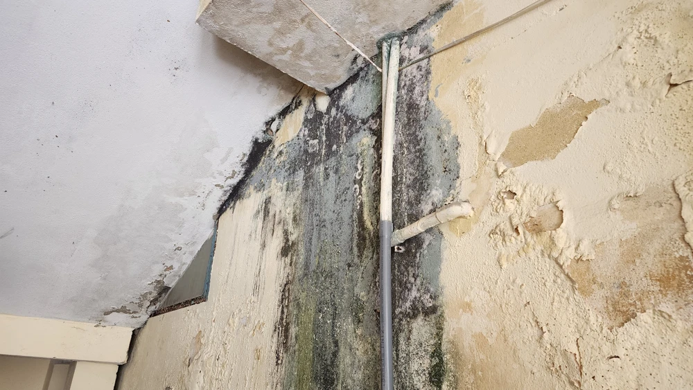 trung tâm giáo dục thường xuyên