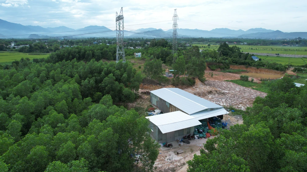 xử phạt hành chính